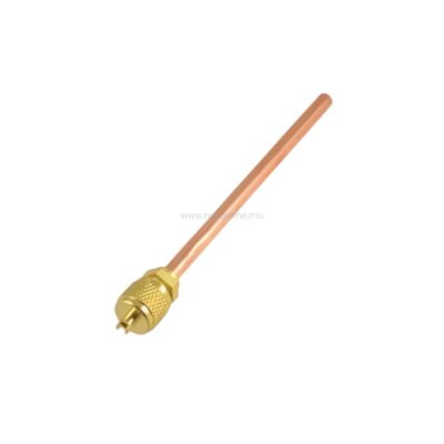 AC Access Valve